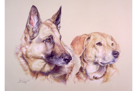 Colored Pencil